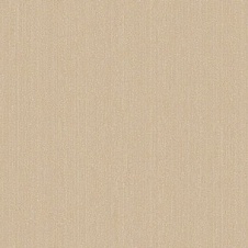 60113-03_Profi Deco_10,05_1,06