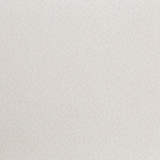 HC31151-21 (6) HomeColor арт(HC31151-21)