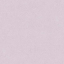 HC71531-56 (8) HomeColor арт(HC71531-56)