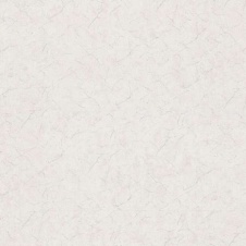 HC31067-14 (6) HomeColor арт(HC31067-14)